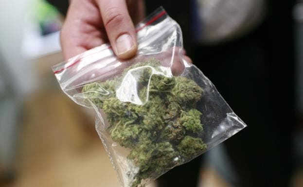 Tráfico de Marihuana. (Archivo)