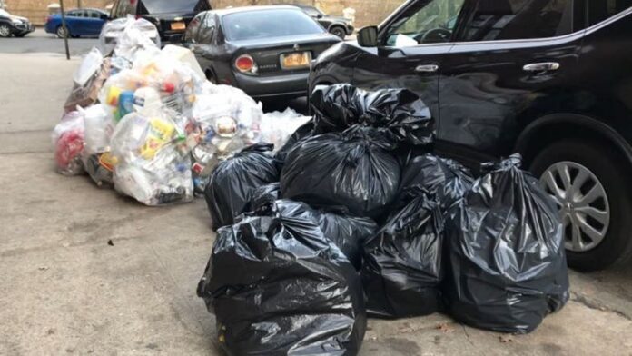 Prohibirán en NYC sacar basuras en fundas plásticas por las ratas