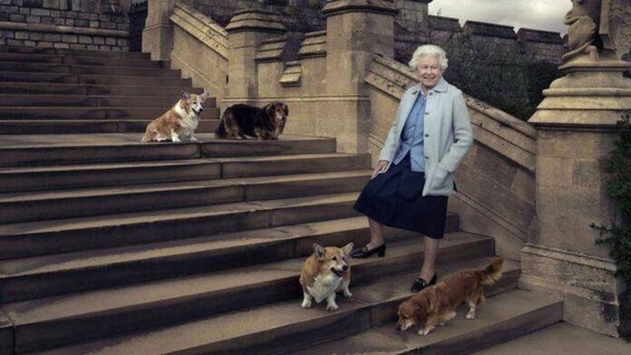 Los corgis de Isabel II, en plena forma un año después de su muerte