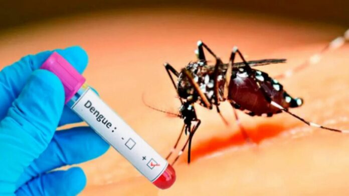 El Salvador registra 21 casos confirmados de dengue y 3,748 sospechosos
