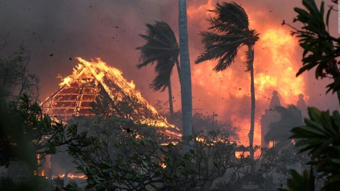 Lista de desaparecidos en incendio en Maui baja a 385, frente a previsión de gobernador