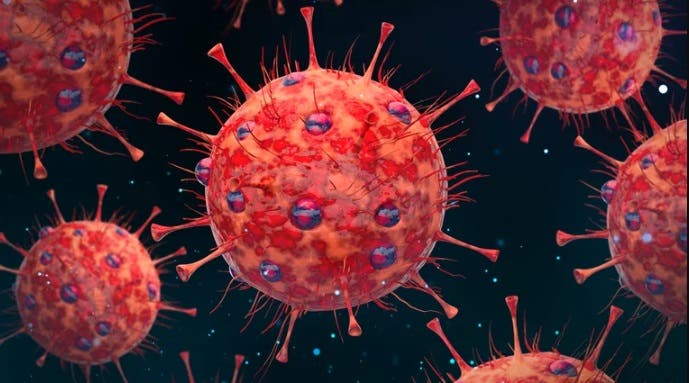 Pirola la variante BA286 del coronavirus seria menos contagiosa de