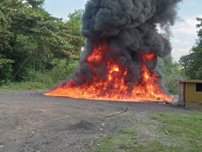 Procuraduría incinera 675 kilogramos de distintas drogas; mayoría cocaína