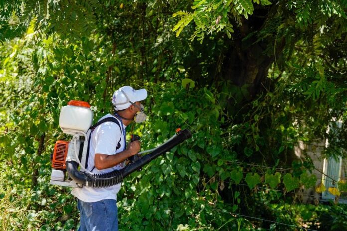 En últimas 48 horas han eliminado 1,660 criaderos del mosquito transmisor del dengue