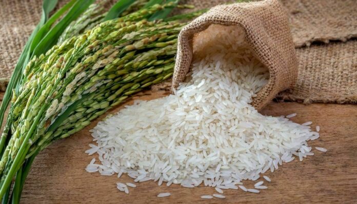 Agricultura destaca la autosuficiencia de país en producción de arroz