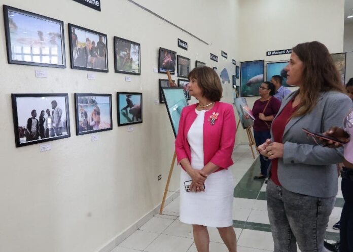 “Bajo el Mar Caribe, el manatí antillano” llega a la UASD