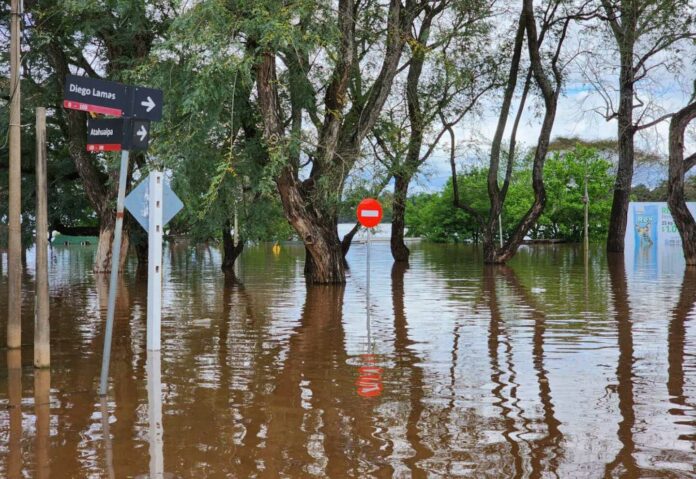 Casi 400 personas desplazadas en Uruguay por inundaciones