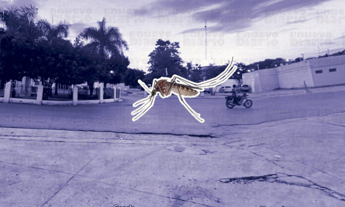 Población de Dajabón preocupada por aumento de dengue en el país