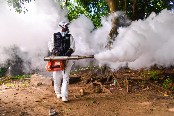 SP continúa acciones contra el dengue; pide a la población eliminar criaderos de mosquitos 