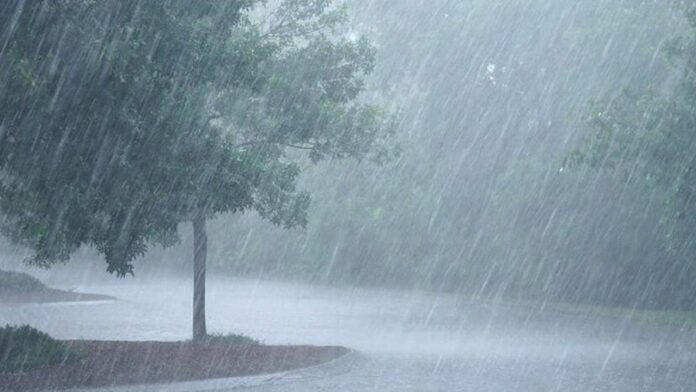 Tormenta tropical Otis causa lluvias «fuertes»