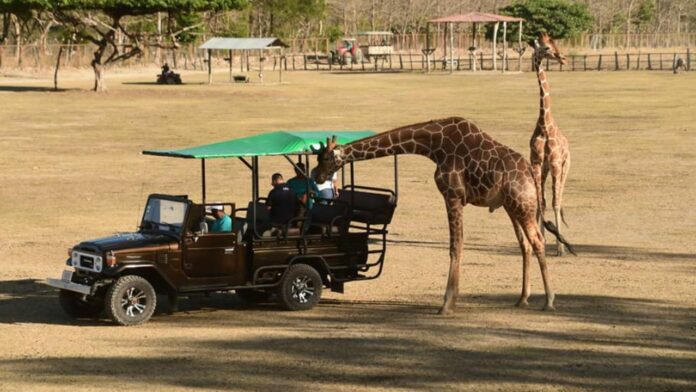 Hallan en zoológico de Costa Rica miles de dólares ligados a narcotraficantes