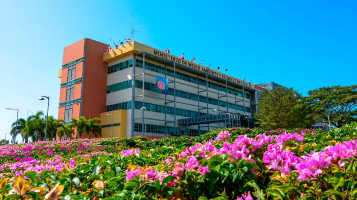 Recuperan flamencos  estaban en manos de dos hoteles del Este