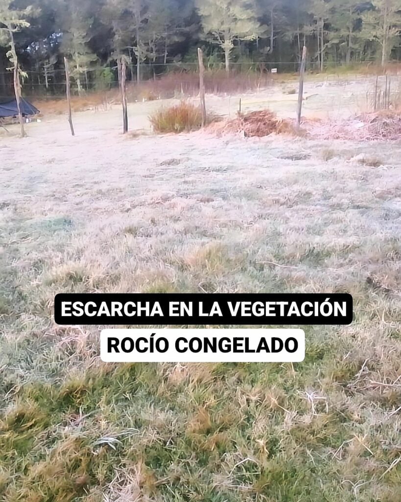 1703629148 323 Temperaturas en Valle Nuevo Constanza descendieron a 2°C