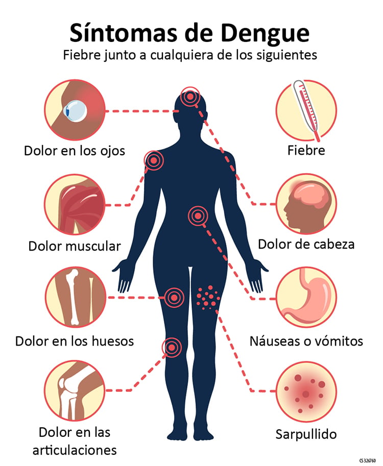 1703874790 187 El 2023 finaliza con casi 25 mil casos de dengue