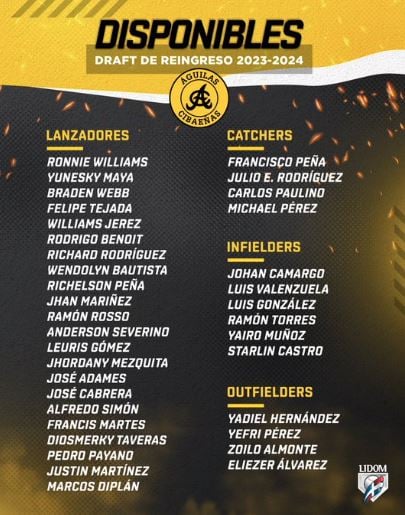 Lidom ¿Que jugadores estan disponibles para el Draft de Reingreso