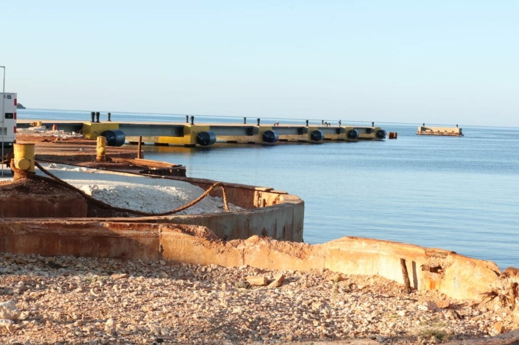 1704382698 850 En fotos Llegada del crucero Norwegian Pearl al puerto