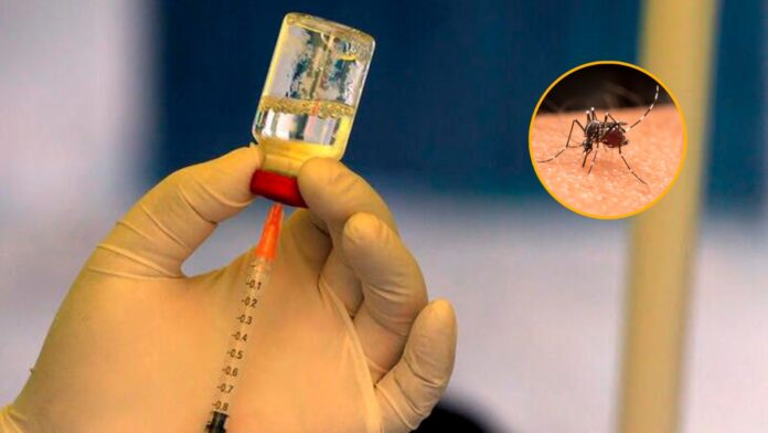 Brasil recibe primer lote de vacunas contra dengue en medio de un brote de la enfermedad