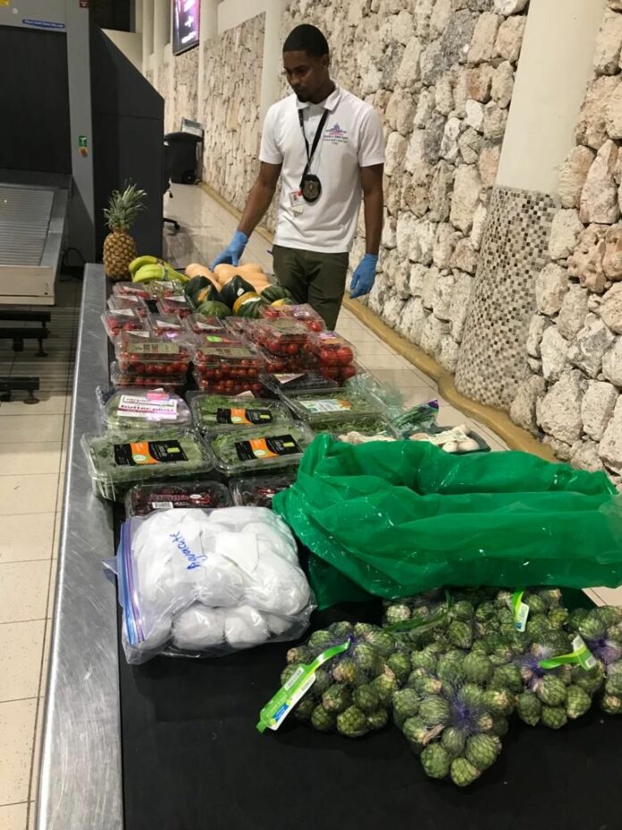 Decomisan alijo de frutas y vegetales a Julio Iglesias en aeropuerto de PC