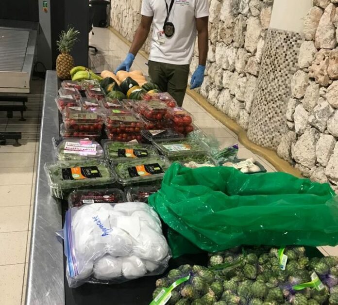 El decomiso de fruta a Julio Iglesias en RD fue para evitar plagas, según Agricultura