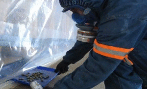 ¿Que es la Fosfina Fosfuro de Aluminio Presunto quimico utilizado