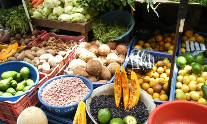 Advierten ingerir más de 22% de proteína en la dieta diaria podría elevar riesgo cardiovascular