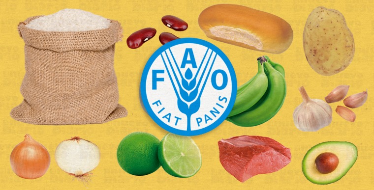 La FAO lanza un nuevo portal de estadísticas sobre alimentación y dietas -  Por el Ojo de la Cerradura
