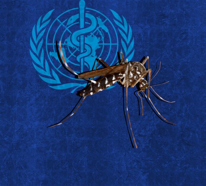 Dengue en Latinoamérica alcanza cifras alarmantes en primer trimestre de 2024
