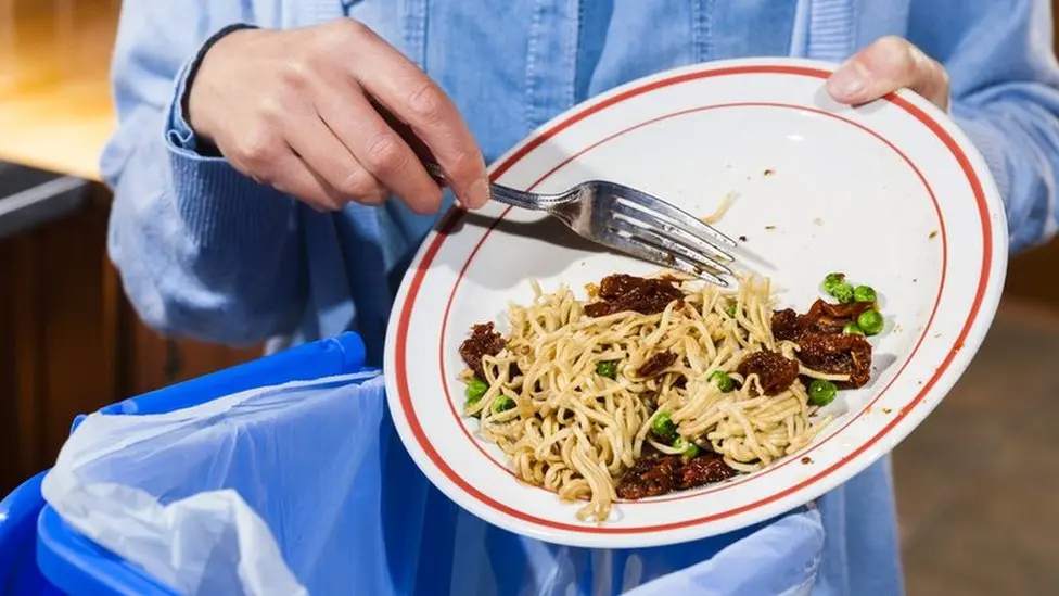 ONU Mil millones de toneladas de comida se echaron a