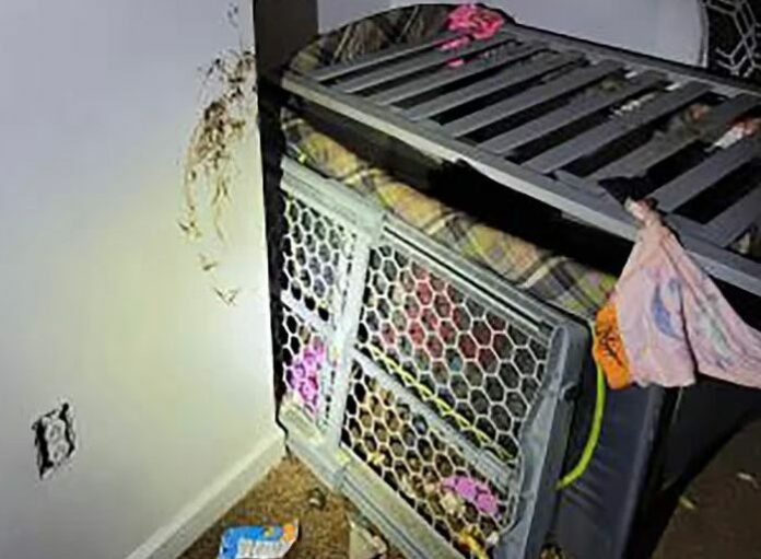 Rescatan niño de 2 años en jaula improvisada por su madre en New York