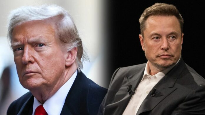 Elon Musk se reunirá con Trump y transmitirá la conversación en directo