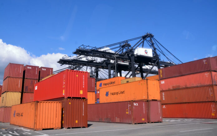 Exportaciones de RD son adictas a los incentivos y exenciones