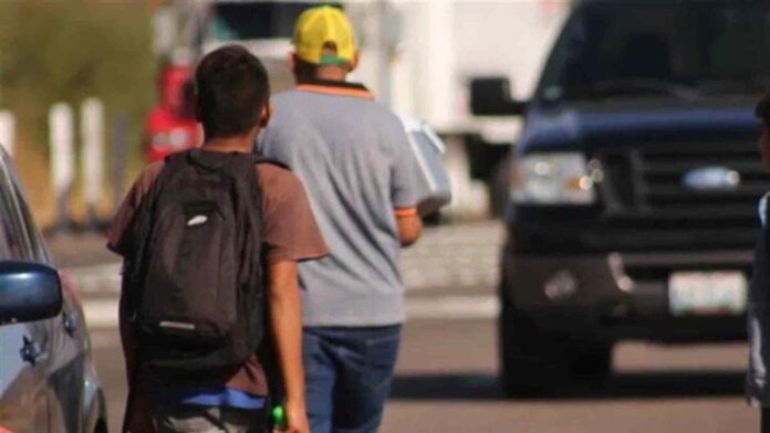 MP rescata a nueve niños víctimas de explotación laboral en La Altagracia; arresta presunto explotador