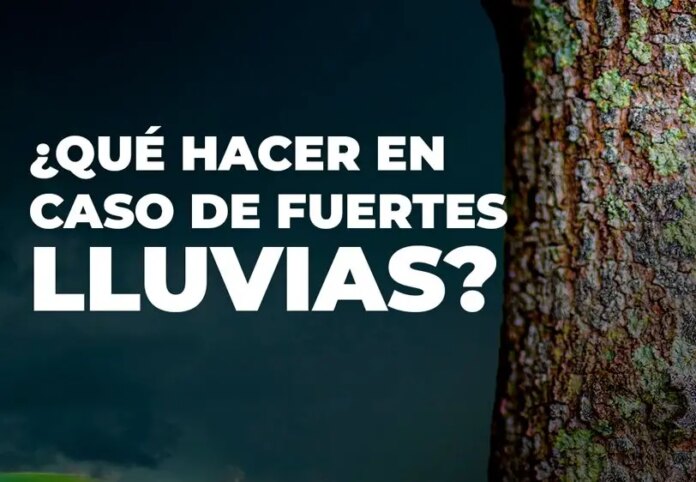¡Llegada de huracán Beryl! ¿Qué hacer en caso de fuertes lluvias?