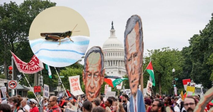 Activistas propalestinos siembran gusanos y grillos en el hotel de Activistas propalestinos siembran gusanos y grillos en el hotel de Netanyahu en EE.UU.