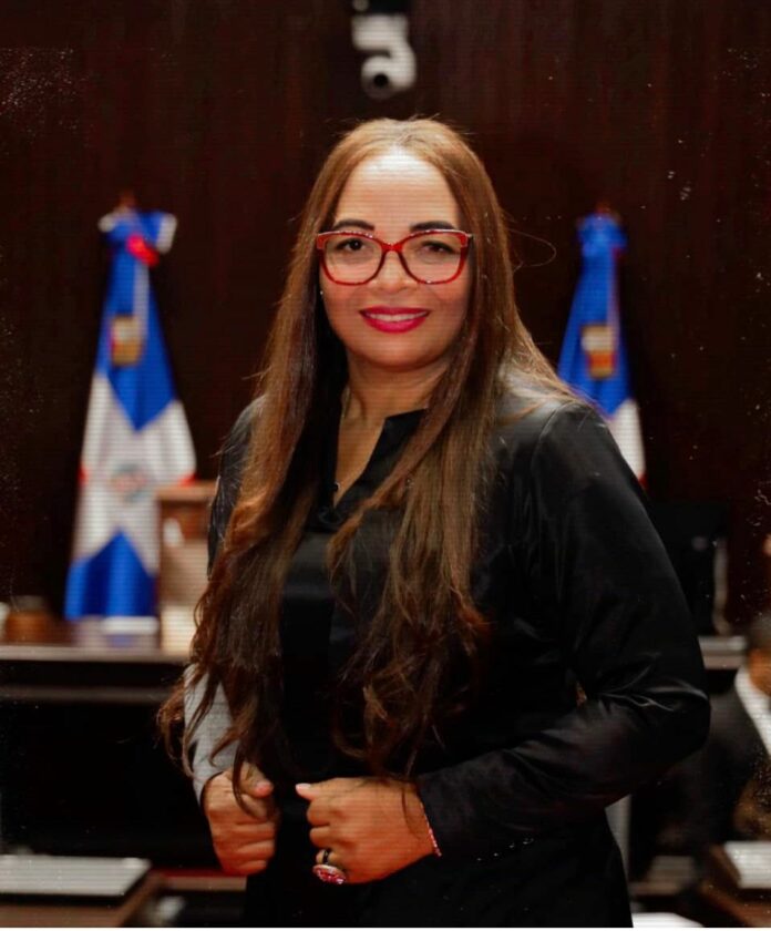 Diputada implora auditoría electoral internacional en Venezuela