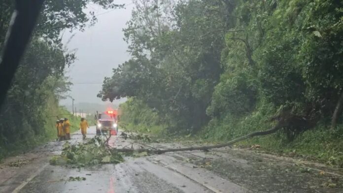 Daños Huracan Beryl Jamaica