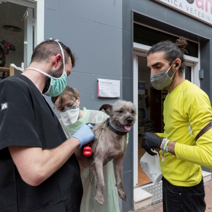 Las enfermedades zoonóticas representan un desafío sanitario y económico global