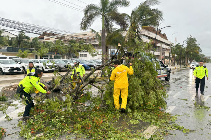 Pronostican Beryl volverá a ser huracán antes de impactar noreste de México y costa de Texas