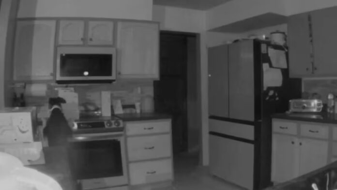 Un perro ‘travieso’ causó insólito incendio en una vivienda de EE.UU.