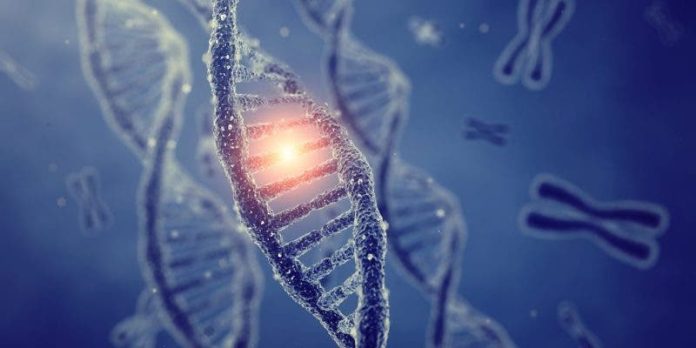 Descubren las mutaciones genéticas que aceleran el envejecimiento de ciertos órganos