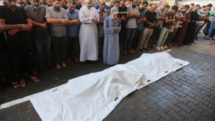 Los muertos en Gaza superan los 41,800 con 14 palestinos Los muertos en Gaza superan los 41,800 con 14 palestinos fallecidos en el último día