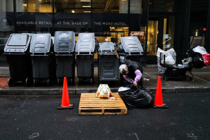 Las ratas se dan un festín con la basura en Nueva York: ¿ponerla en contenedores podría acabar con el problema?