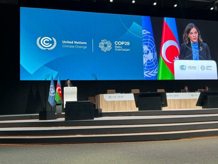 COP29: RD llama a convertir los compromisos ambientales en acciones inmediatas