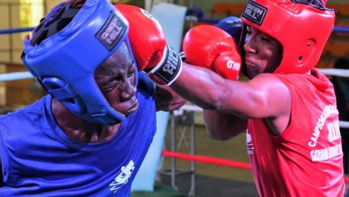 Cuatro púgiles de MP pasan a la final