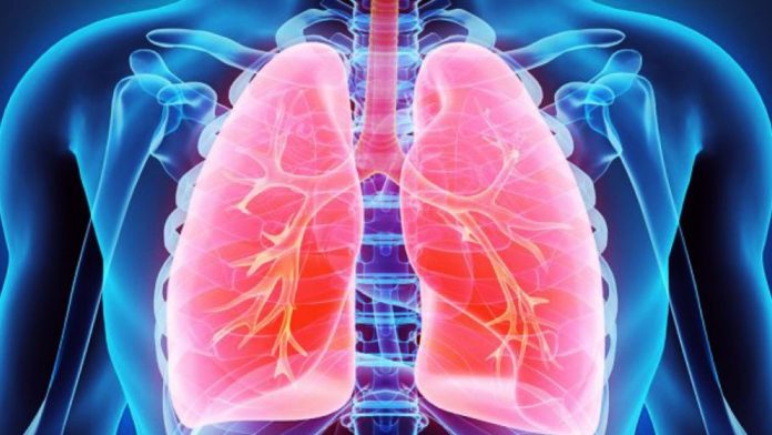 Día Mundial de la Neumonía