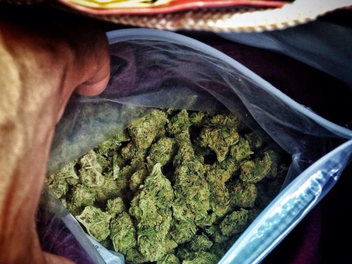 México confisca 750 kilos de marihuana que venían a RD en rollos de tela