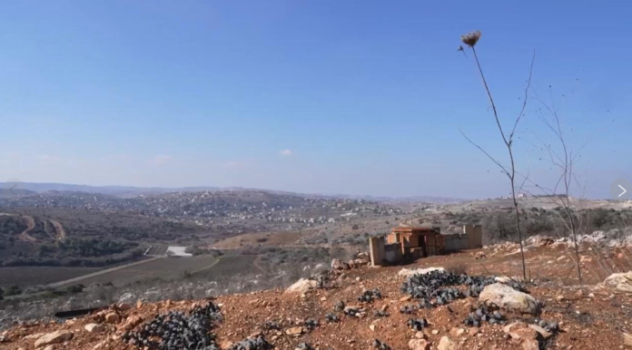 La ONU suspende el envío de ayuda a través del principal cruce de Gaza tras los saqueos