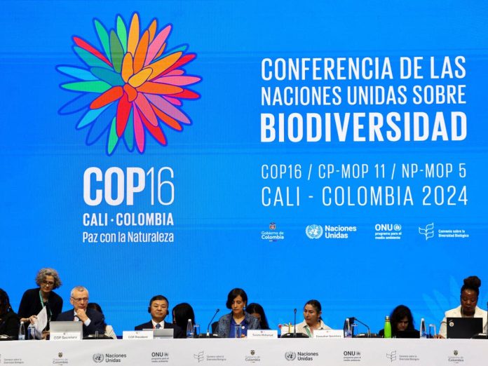 Una COP16 histórica, pero con deudas hacia las comunidades más vulnerables