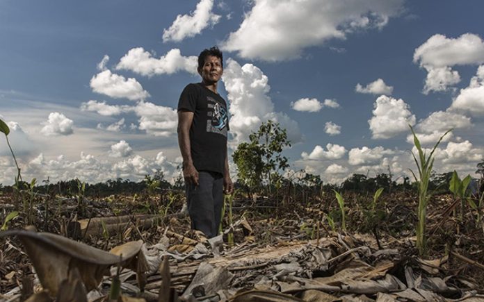 ¿Por qué las tierras indígenas son clave para conservar la biodiversidad y mitigar el cambio climático?