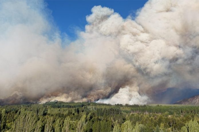 Gobierno de Milei acusa de «terrorismo» a presuntos responsables de incendios en Patagonia